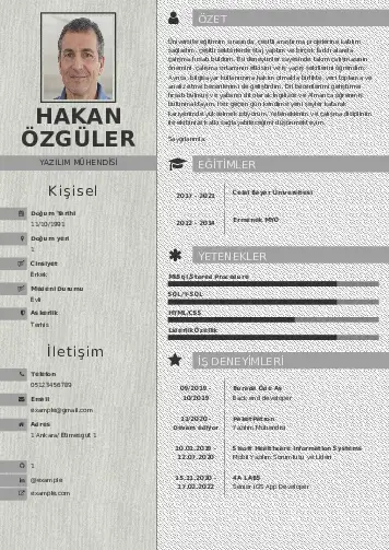 Yazılım Mühendisi Cv Örnekleri cv indir